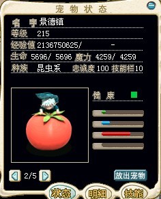 靓照.jpg