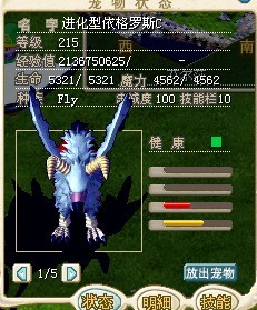 C大鸟.jpg