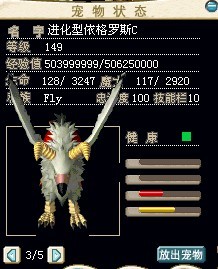 大鸟1.jpg