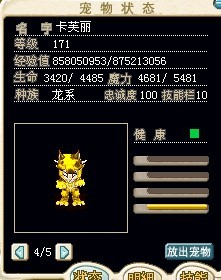 猫猫.jpg