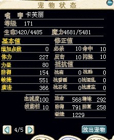 猫猫1.jpg