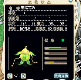 4X 可爱散步宠