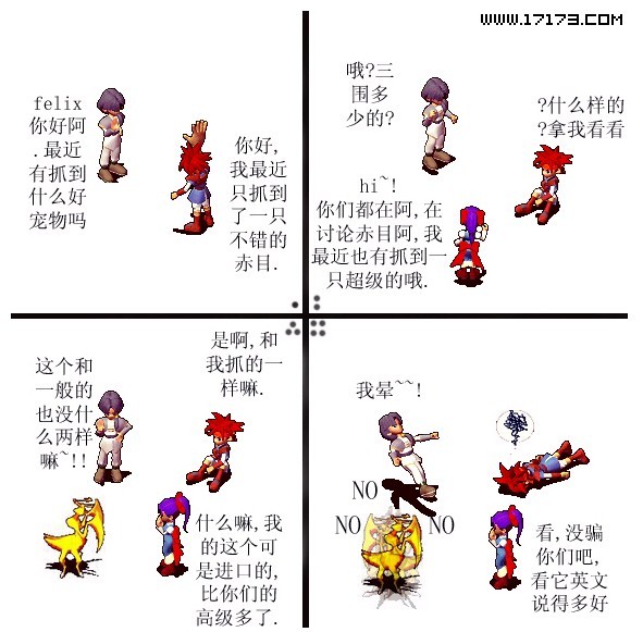 进口赤目螳螂