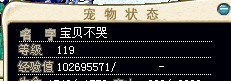 119.jpg