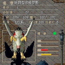 培育鸟 带价