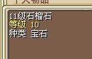 11级石榴.jpg