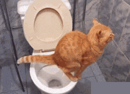 微博桌面_3204305244l.gif
