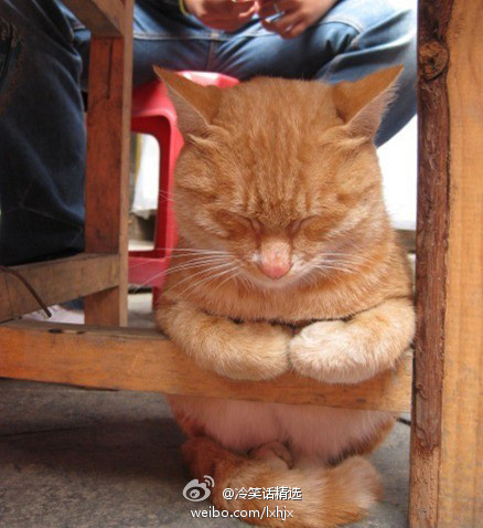 微博桌面_123491626l.jpg