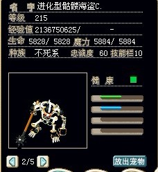 海盗1.jpg