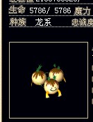 是这个嘛？