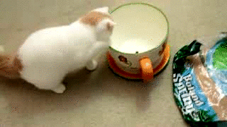 微博桌面_1459294407l.gif