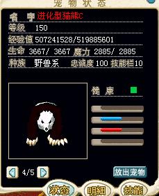 熊猫.jpg