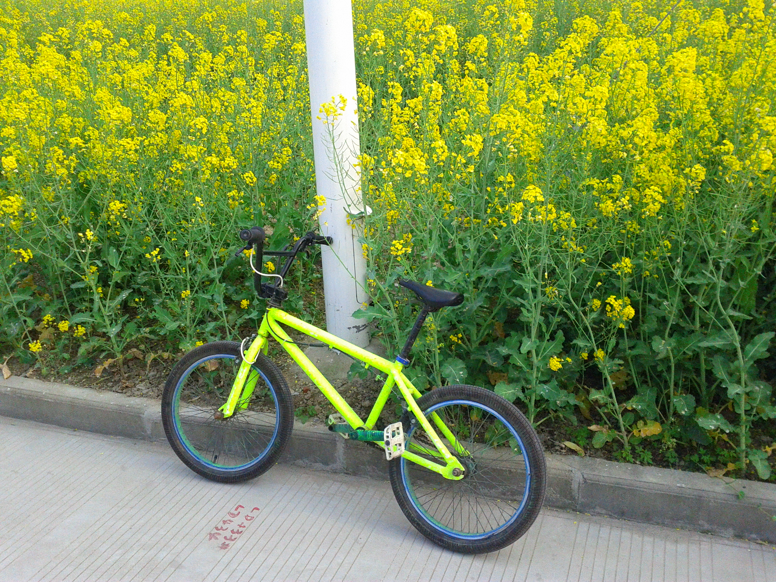 IMG_20120417_164242.jpg