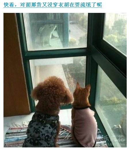 QQ截图未命名.jpg