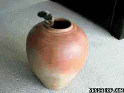 未命名.gif