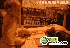 敢打我？你小子活腻了！