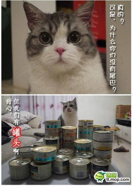 麻麻3.jpg