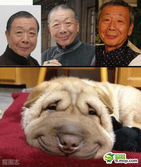 简直太像了了！ 有木有？有木有？