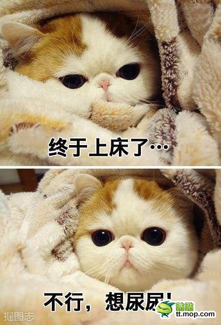 世间最痛苦的事莫过于此！
