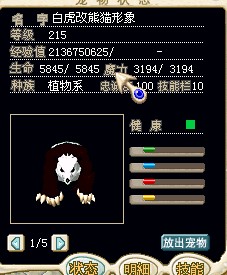 白虎正面.jpg