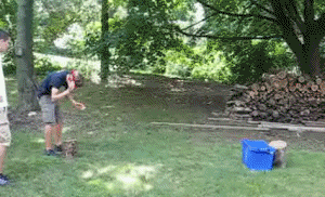 mxcp.gif