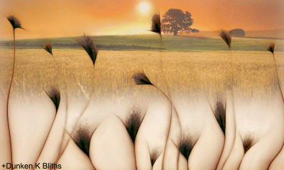 201273002344280.gif