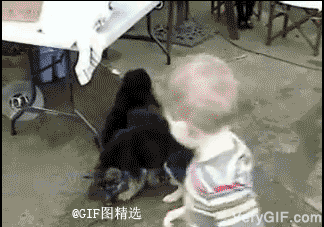 尼玛 以多欺少~