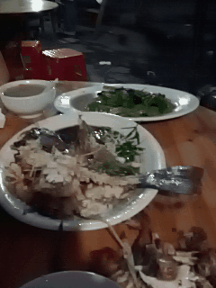 什么情况？
