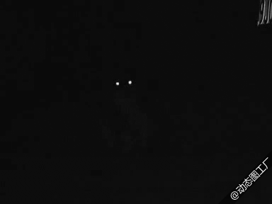 喵星人，你呗发现了