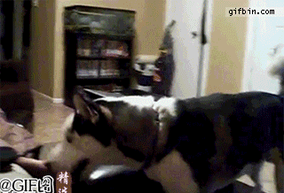 3fce8ddfacba4a87a40f50f44f035b906aae966d3cab5a-NdxrVv_fw554.gif