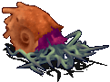 1586e69e7fb98368a50ba97bd147021b.gif