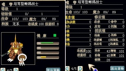 蜥蜴.jpg
