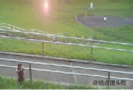 2557861_6.gif
