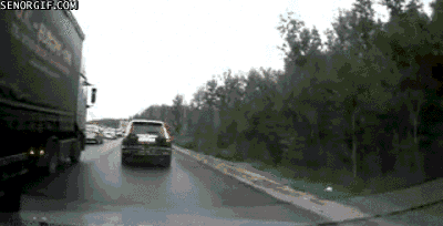 2557861_31.gif