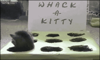 mxcpAD58D9ABDA0E3A84963D0C075EC61FC5_338_203.GIF