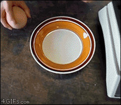 mxcpB89E852EFAD843503EB60BECBD0A23B4_240_209.GIF