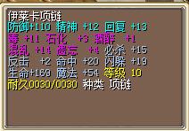 110防御项链.jpg