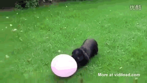3025741_17.gif
