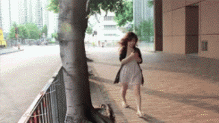 2729365_1.gif
