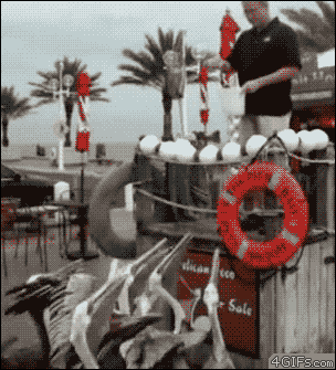 2729365_18.gif