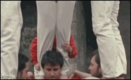 爽歪歪.gif