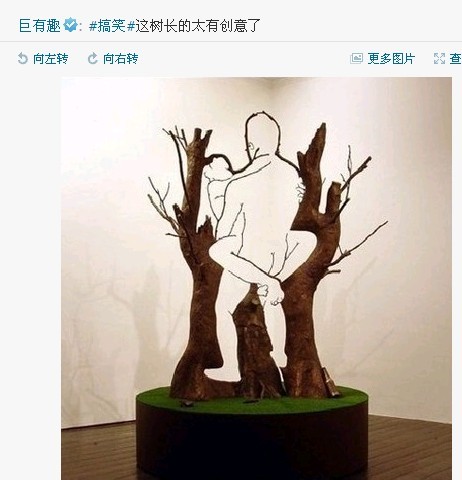树.jpg