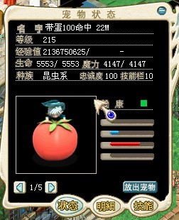 番茄
