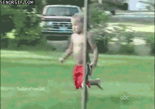 4.gif