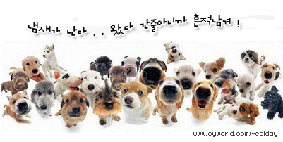 08032004113169.gif