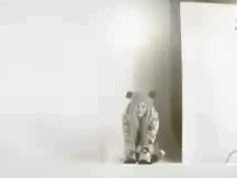 111.gif