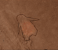 201298213038682.gif