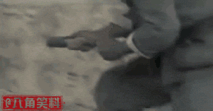 2013140156882.gif