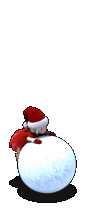 PET_601.gif