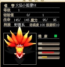 5X一只